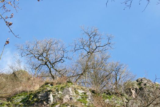 Felsen mit kargen Bewuchs aus der Froschperspektive gesehen	
Rocks with sparse vegetation as seen from the frog perspective