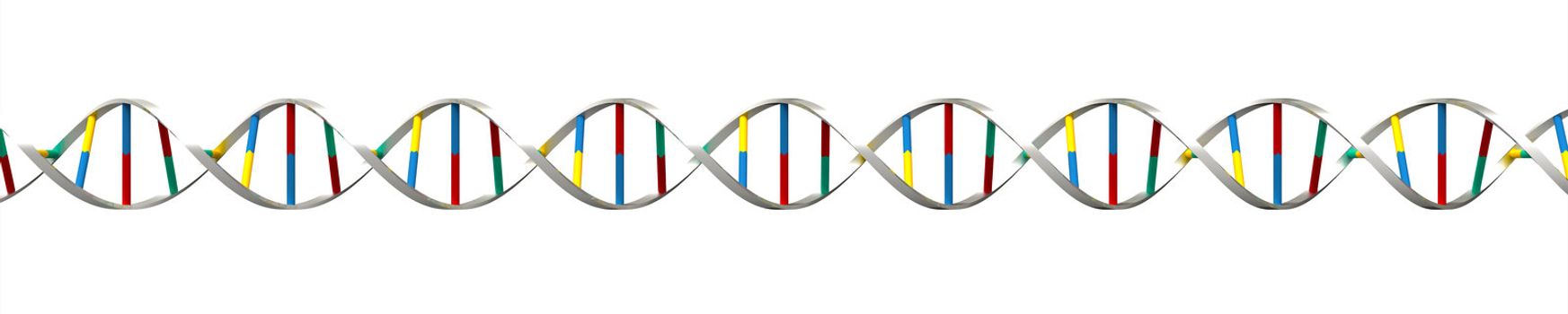 Render of DNA isolated on white background