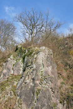 Felsen mit kargen Bewuchs aus der Froschperspektive gesehen	
Rocks with sparse vegetation as seen from the frog perspective