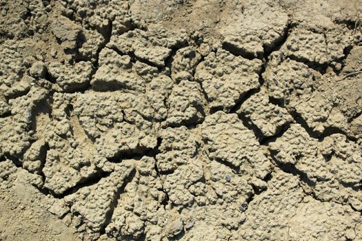 Close up of a dry soil