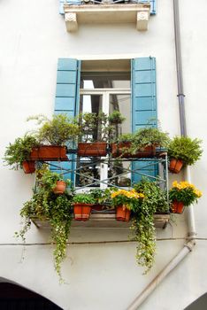 terrace and window of building in Italy, Padova, with flowerpots and blooming flowers