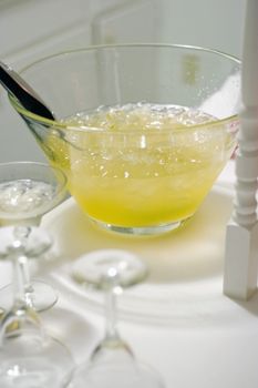 A punch bowl full of margarita delight.