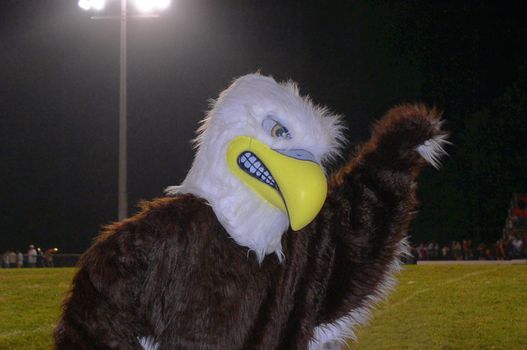 The Golden Eagle mascot of Staunton River High School, Moneta, Virginia, punches the air during a Friday night football game. This is a typical North American high school or college mascot, a figure around which fans of the school's sports teams can rally. Could be used for any article related to high school or college sports.