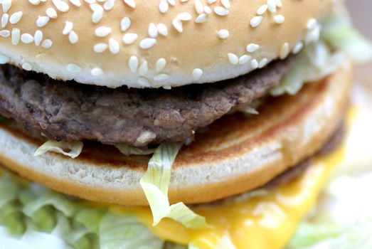A tasty hamburger close up.