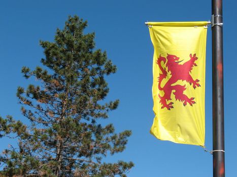 The Lion Rampant flag is the Scottish Royal Banner, named after the Lord Lyon King Arms. Dates back to the 14th Century.