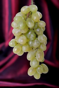 Juicy green grapes against a red shiny background
