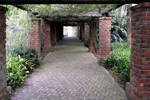 Foliage covered walkway with gates and bright light at the end