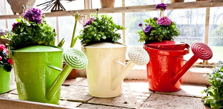 Watering cans, concept of gardening and hobby