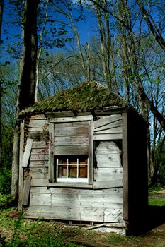 A Old abandoned hut in the woods