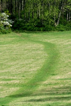 A Path through a green field