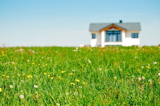 Meadow and clear sky with Family House