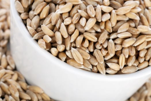 Raw healthy spelt wheat seeds in a white bowl.