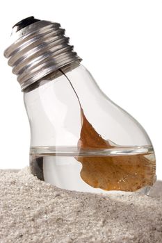 Dry brown leaf in a light bulb on sand.