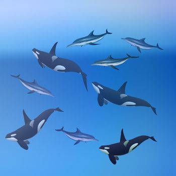 whales and dolphins swimming in the ocean great for background,posters,postcards,enviromental issues,