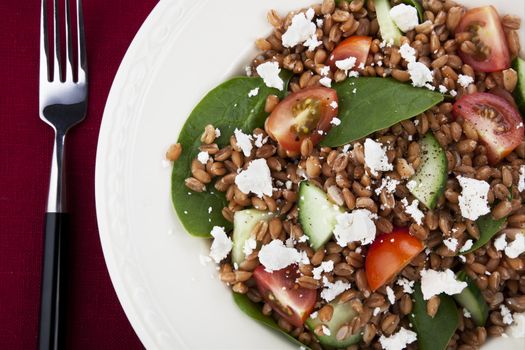 Fresh salad with spelt wheat berries, spinach, tomatoes, cucumbers and feta cheese.