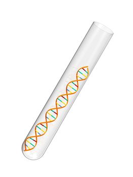 Render of DNA in a test tube isolated on white background