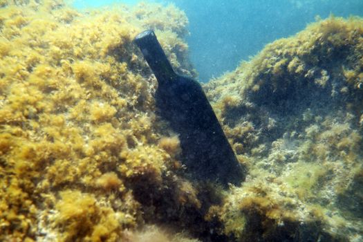 Sealed bottle of wine under the water on the seabed.