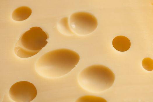 Texture yellow cheese with large holes closeup