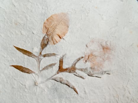 Closeup texture and detail of mulberry paper