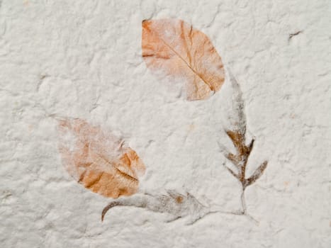 Closeup texture and detail of mulberry paper