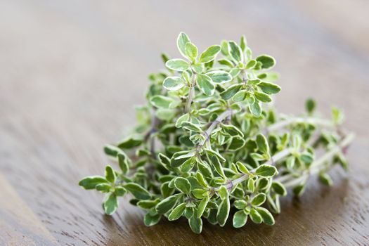 fresh thyme
