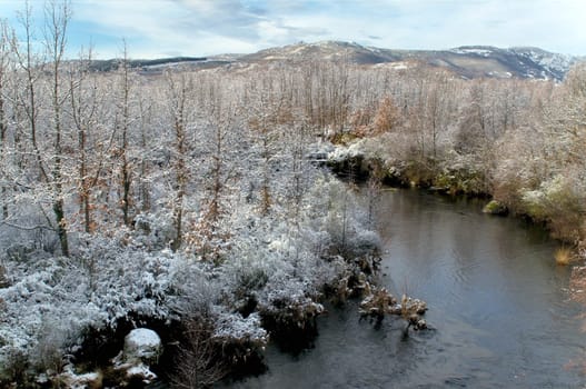 winter scene