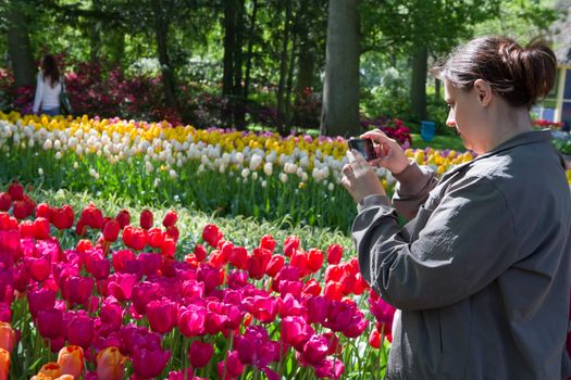 Beautiful girl in s  holland park with tulips