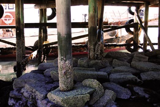 Underneath a pier.