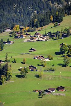 View of a Swiss mountainside dotted with chalets and farmhouses and a few cows. Wilder land above.