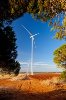 Typical windmill or aerogenerator of aeolian energy