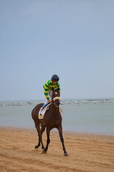 SANLUCAR DE BARRAMEDA, CADIZ, SPAIN - AUGUST 07: Horses races on August 07, 2010 on the beach of Sanlucar de Barrameda, Cadiz, Spain. The races of Sanlucar de Barrameda  are one of the most important horses races of the world