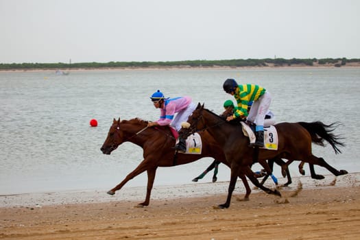 SANLUCAR DE BARRAMEDA, CADIZ, SPAIN - AUGUST 07: Horses races on August 07, 2010 on the beach of Sanlucar de Barrameda, Cadiz, Spain. The races of Sanlucar de Barrameda  are one of the most important horses races of the world
