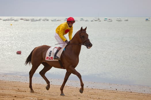 SANLUCAR DE BARRAMEDA, CADIZ, SPAIN - AUGUST 07: Horses races on August 07, 2010 on the beach of Sanlucar de Barrameda, Cadiz, Spain. The races of Sanlucar de Barrameda  are one of the most important horses races of the world