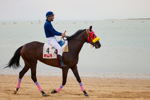 SANLUCAR DE BARRAMEDA, CADIZ, SPAIN - AUGUST 07: Horses races on August 07, 2010 on the beach of Sanlucar de Barrameda, Cadiz, Spain. The races of Sanlucar de Barrameda  are one of the most important horses races of the world