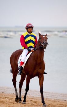 SANLUCAR DE BARRAMEDA, CADIZ, SPAIN - AUGUST 07: Horses races on August 07, 2010 on the beach of Sanlucar de Barrameda, Cadiz, Spain. The races of Sanlucar de Barrameda  are one of the most important horses races of the world