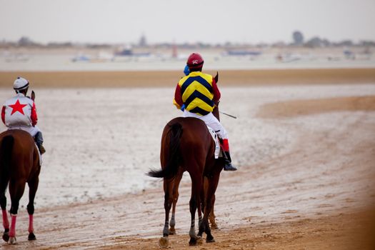 SANLUCAR DE BARRAMEDA, CADIZ, SPAIN - AUGUST 07: Horses races on August 07, 2010 on the beach of Sanlucar de Barrameda, Cadiz, Spain. The races of Sanlucar de Barrameda  are one of the most important horses races of the world