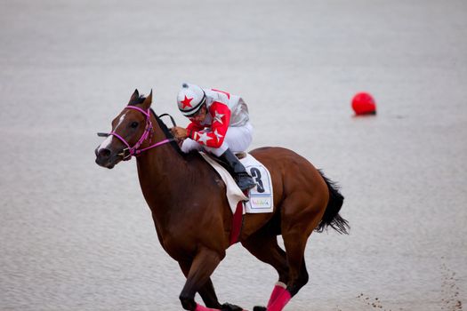 SANLUCAR DE BARRAMEDA, CADIZ, SPAIN - AUGUST 07: Horses races on August 07, 2010 on the beach of Sanlucar de Barrameda, Cadiz, Spain. The races of Sanlucar de Barrameda  are one of the most important horses races of the world