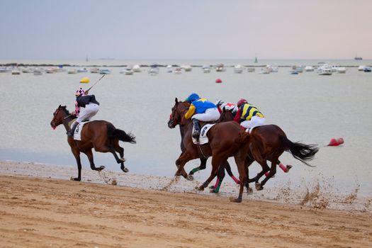 SANLUCAR DE BARRAMEDA, CADIZ, SPAIN - AUGUST 07: Horses races on August 07, 2010 on the beach of Sanlucar de Barrameda, Cadiz, Spain. The races of Sanlucar de Barrameda  are one of the most important horses races of the world