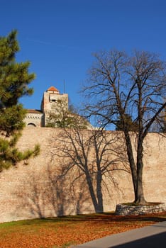 shadow from tree on Kalemegdan fortress wall over blue sky in Belgrade, Serbia, at autumn