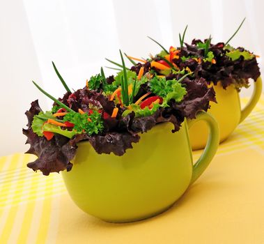 Salad of Lactuca sativa, carrot, sweet pepper (bell)