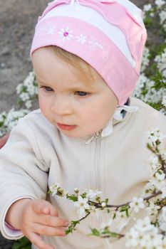 Baby girl among cherry tree blossom