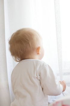 Little baby girl with its back looking in window through curtains