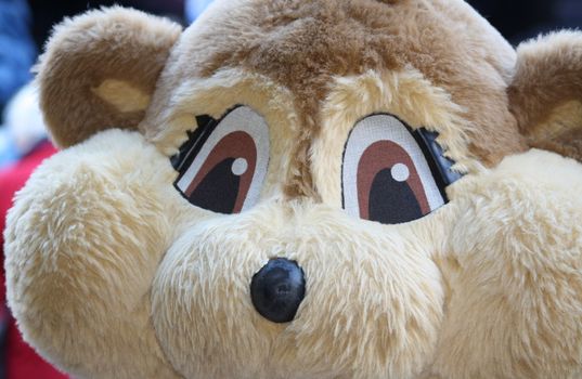 large teddy bear close up with big eyes