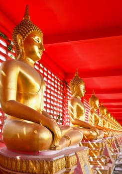 Buddha in row ,Thailand