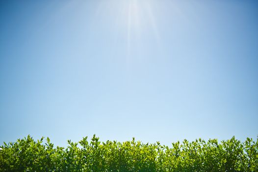 Bright blue sky on a hot sommersday