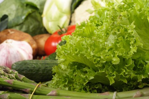 Fresh Vegetables ingredients of food, colored photo