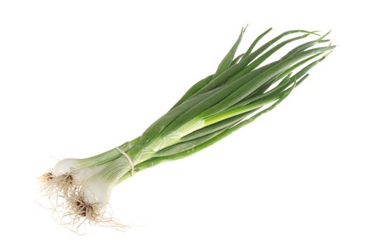 green onions photo on the white background