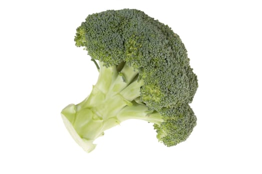 Fresh green broccoli isolated on the white background