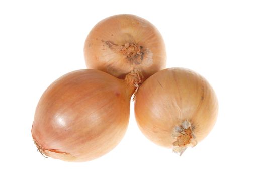 three onions photo on the white background