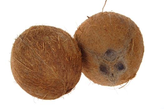 two coconut photo on the white background